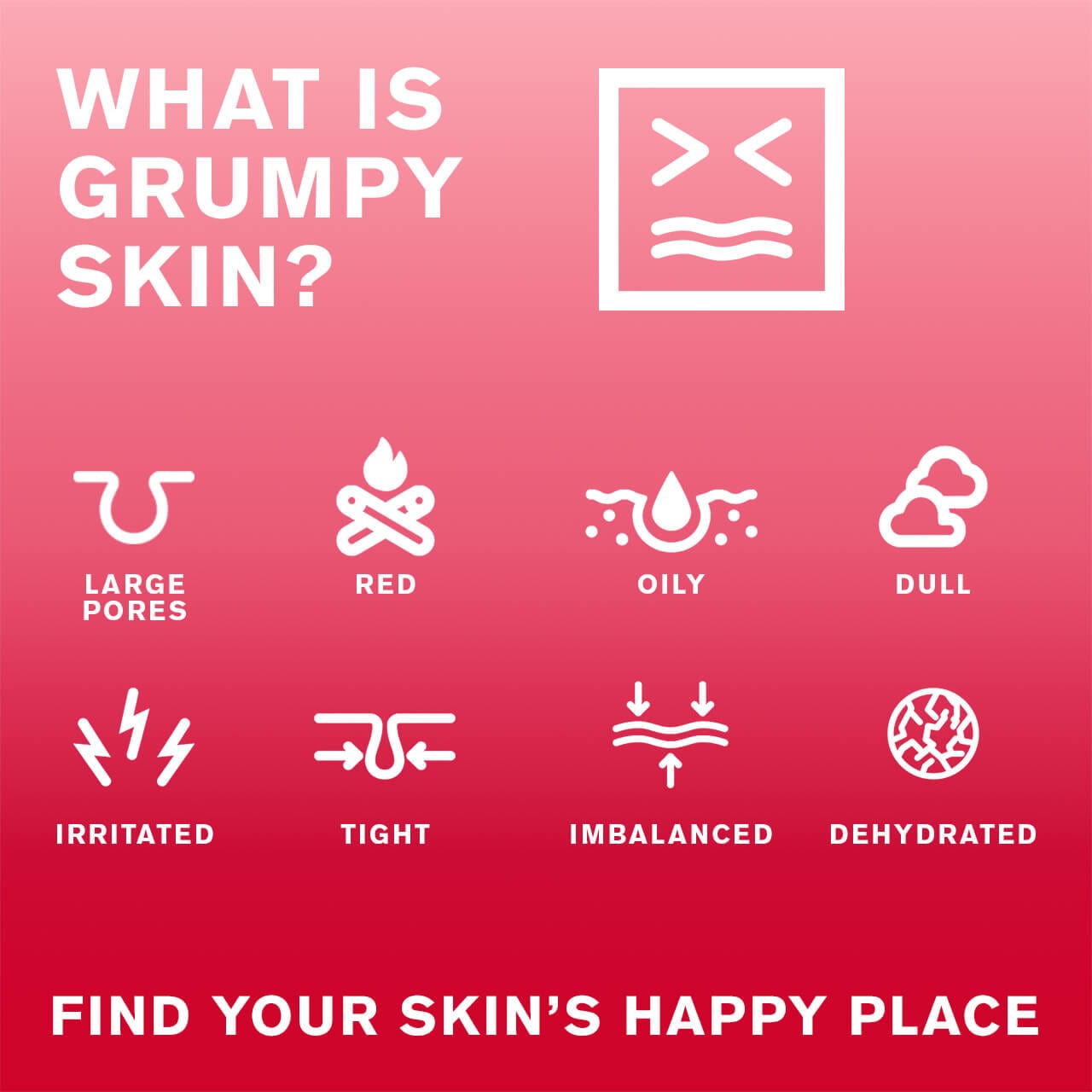 What is grumpy skin? Large Pores Red Oily Dull Irritated Tight Imbalanced Dehydrated. Find your skin's happy place